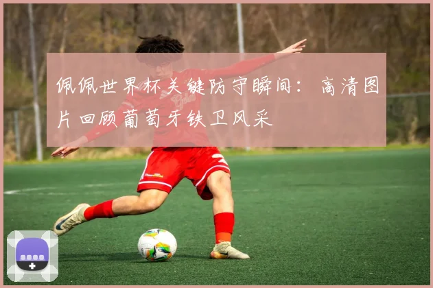 佩佩世界杯关键防守瞬间：高清图片回顾葡萄牙铁卫风采