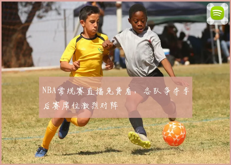 NBA常规赛直播免费看,各队争夺季后赛席位激烈对阵