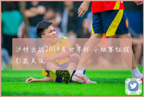 沙特出战2014年世界杯 小组赛征程引发关注