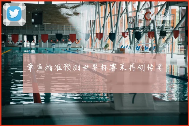 章鱼精准预测世界杯赛果再创传奇