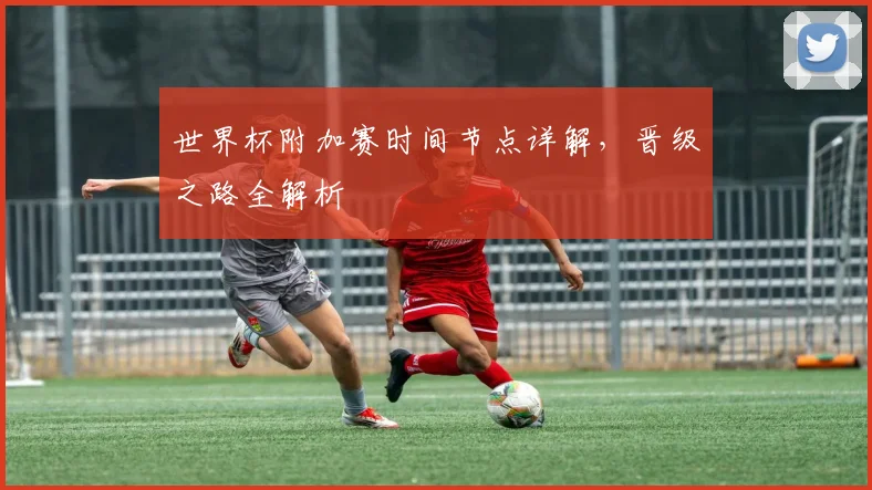 世界杯附加赛时间节点详解，晋级之路全解析