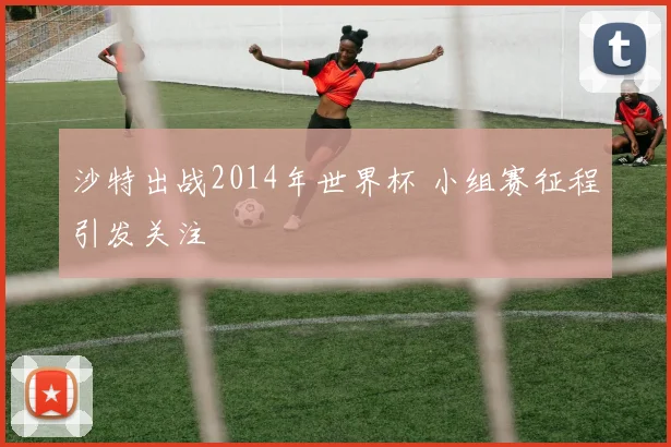 沙特出战2014年世界杯 小组赛征程引发关注
