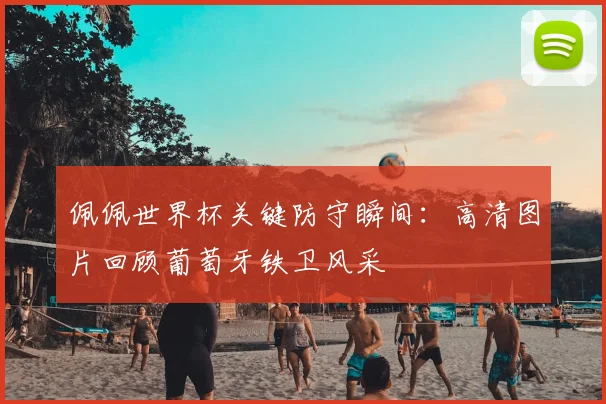 佩佩世界杯关键防守瞬间：高清图片回顾葡萄牙铁卫风采