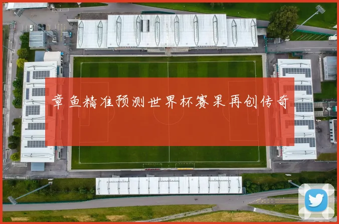 章鱼精准预测世界杯赛果再创传奇