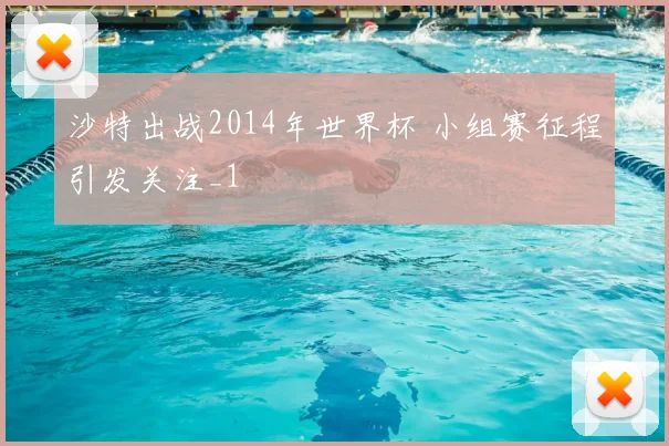 沙特出战2014年世界杯 小组赛征程引发关注_1
