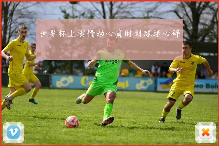 世界杯上演情动心痛时刻球迷心碎
