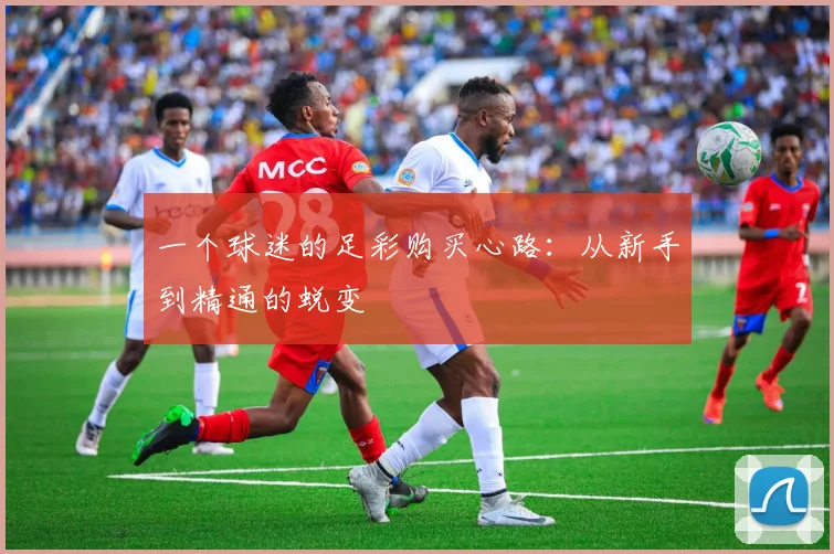 一个球迷的足彩购买心路:从新手到精通的蜕变