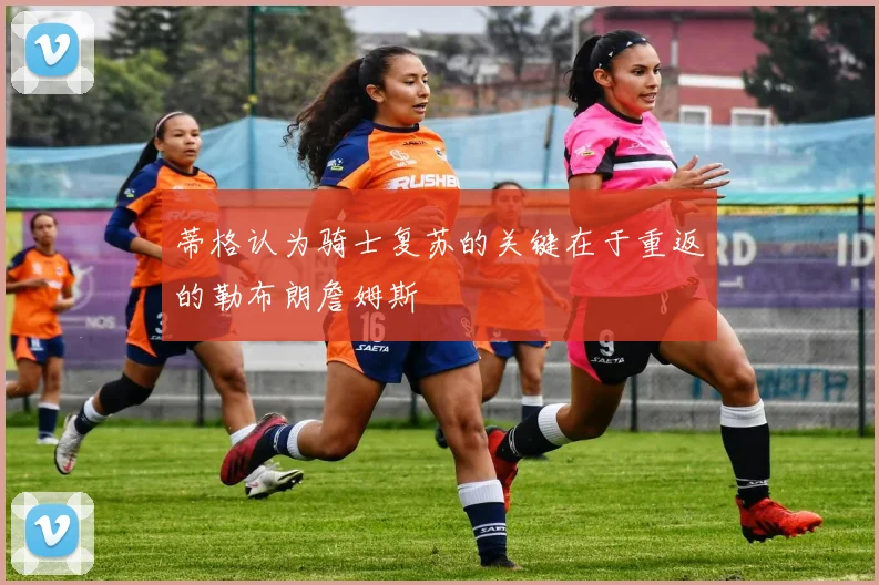 蒂格认为骑士复苏的关键在于重返的勒布朗詹姆斯