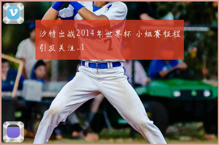 沙特出战2014年世界杯 小组赛征程引发关注_1