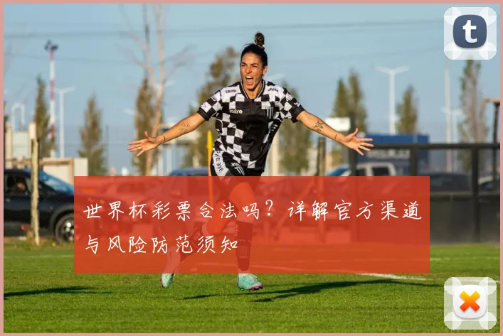世界杯彩票合法吗？详解官方渠道与风险防范须知